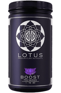 Lotus BOOST