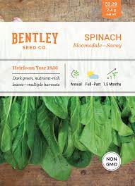 Spinach- Bloomsdale