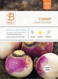 Turnip- Purple Top Globe